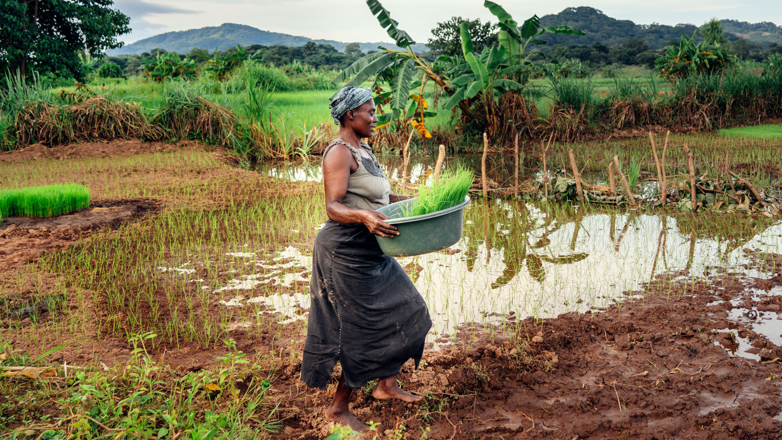 Kulera Landscape, Malawi