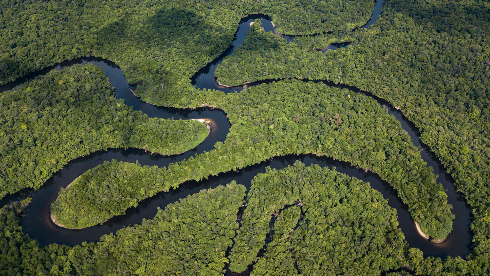 Southern Cardamom, Cambodia